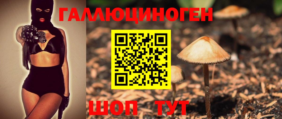 Галлюциногенные грибы Cubensis Спасск-Дальний
